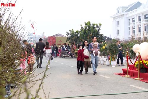 Tết về trên phố