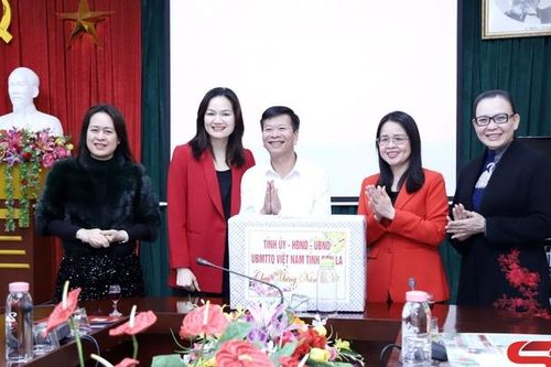 Đồng chí Trưởng ban Tuyên giáo Tỉnh ủy thăm, chúc Tết các cơ quan báo chí