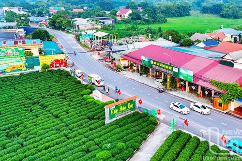Lễ hội Hương sắc trà xuân Tân Cương: Tôn vinh nghề trồng và chế biến chè