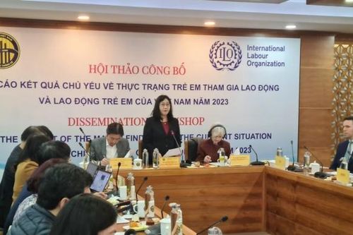 Tỷ lệ lao động trẻ em giảm đáng kể trong những năm qua