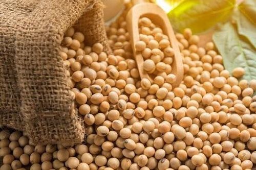 Kiến nghị áp thuế suất 1% cho mặt hàng khô dầu đậu tương làm thức ăn chăn nuôi