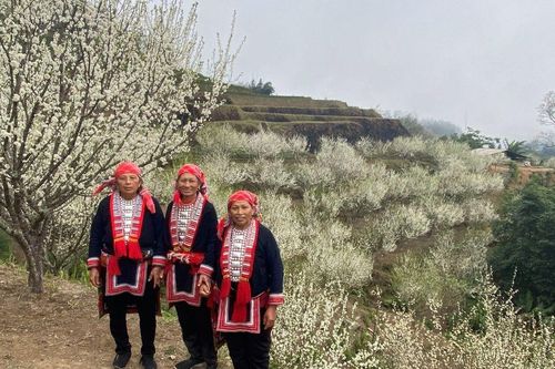 Hà Giang: Xuân về trên bản Nậm Hồng, huyện Hoàng Su Phì
