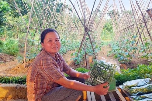 Gần Tết, HTX 'đau đầu' vì ma trận hàng giả, hàng nhái