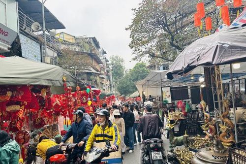 Nhộn nhịp chợ hoa xuân phố Hàng Lược