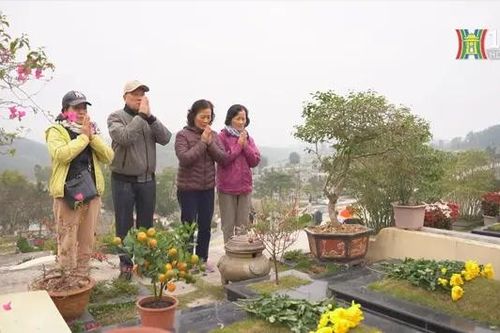 Người Hà Nội mang đào quất đi tảo mộ