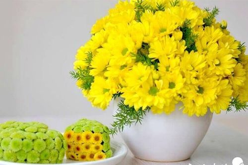 Có nên dùng nước máy cắm hoa?
