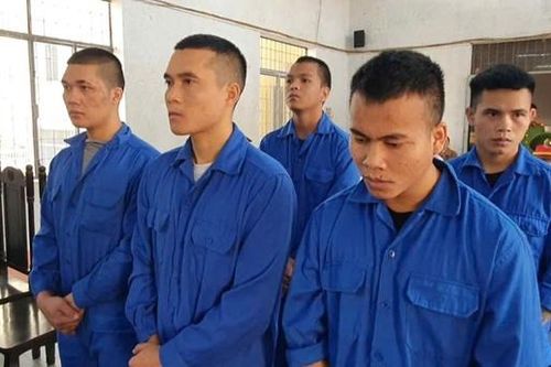 Rủ nhau dùng ma túy, 1 người sốc thuốc tử vong, 5 người nhận án tù