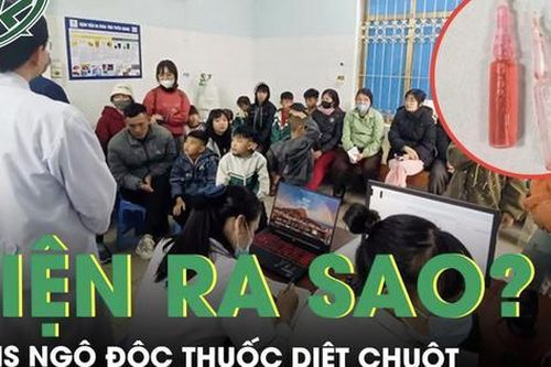 Hàng chục học sinh nghi ngộ độc thuốc diệt chuột tại Tuyên Quang hiện ra sao?