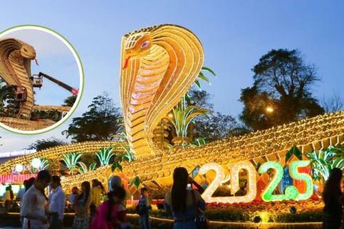 Linh vật Tết Ất Tỵ - 'bé Na siêu to khổng lồ' ở Phú Yên lên đèn lung linh