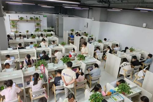 Trung Quốc nở rộ lớp học thêm do AI dạy để né lệnh cấm