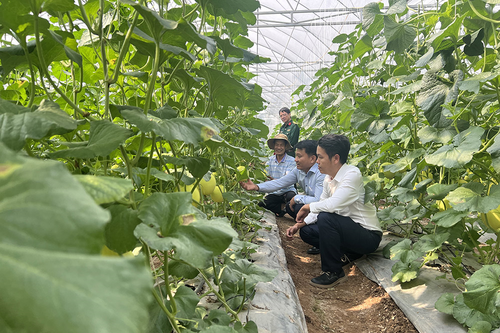 Tròn việc nước, trọn việc dân