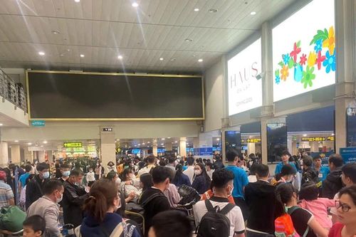 Sân bay Tân Sơn Nhất đón 150.000 hành khách