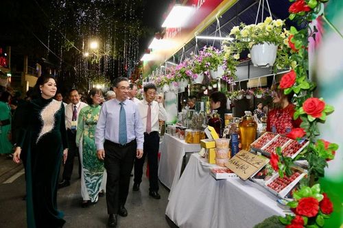 TPHCM khai mạc Chợ hoa xuân 'Trên bến dưới thuyền'