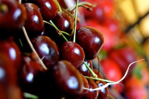 Cherry Úc 2 triệu đồng/kg vẫn 'cháy hàng' trước Tết