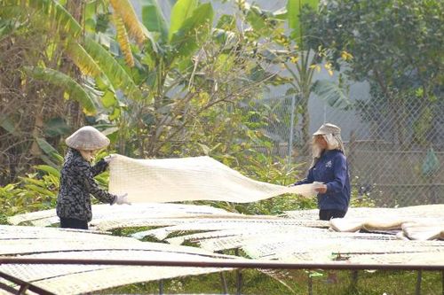 Làng miến Dương Liễu tất bật những ngày cận Tết Ất Tỵ