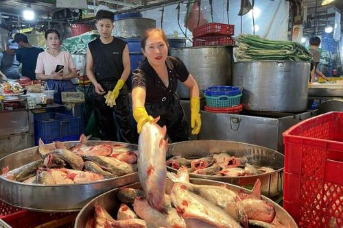 Chợ đầu mối thủy hải sản lớn nhất TP HCM nhộn nhịp ngày giáp Tết