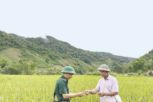 Đổi thay nơi ngã ba biên giới Sín Thầu