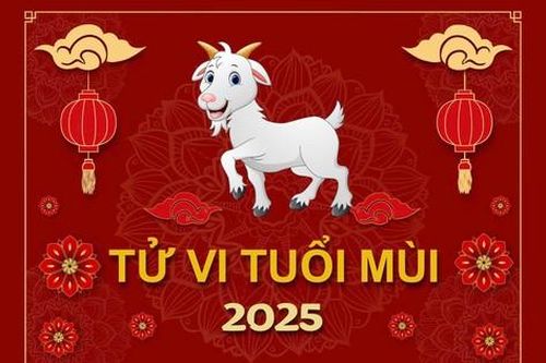 TỬ VI TUỔI MÙI 2025: Tam Tai kìm hãm, khó khăn tứ bề