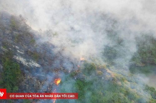 Hàng trăm người nỗ lực dập tắt vụ cháy rừng trong di sản Tràng An