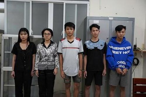 Khởi tố, bắt tạm giam nhóm nam nữ bán gấu Baby Three lừa đảo