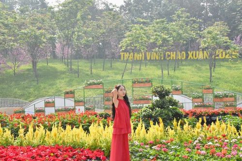 Gấp rút hoàn thành đường hoa quanh Quảng trường Hồ Chí Minh