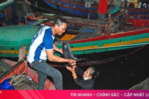Ngư dân Hà Tĩnh hối hả những chuyến biển cuối năm