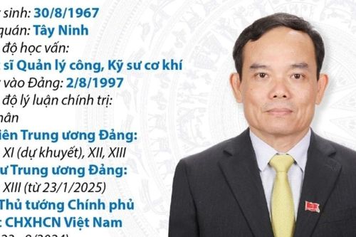 Quá trình công tác của Bí thư TW Đảng, Trưởng Ban Kinh tế TW Trần Lưu Quang