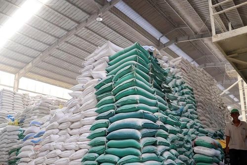 Hỗ trợ hơn 218 tấn gạo cho tỉnh Tuyên Quang dịp Tết Nguyên đán Ất Tỵ