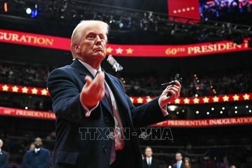 Đồng tiền điện tử Official Trump ra mắt trên sàn giao dịch Hàn Quốc