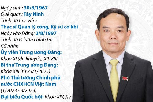 Quá trình công tác của Bí thư Trung ương Đảng, Trưởng Ban Kinh tế Trung ương Trần Lưu Quang