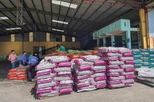 Hình phạt cho vợ chồng doanh nhân sản xuất phân bón giả?