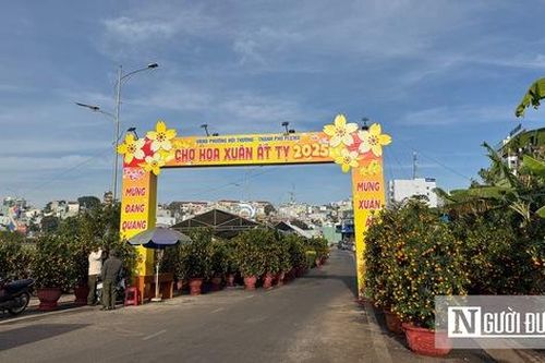 Chợ hoa Tết phố núi ế ẩm, tiểu thương thấp thỏm chờ khách