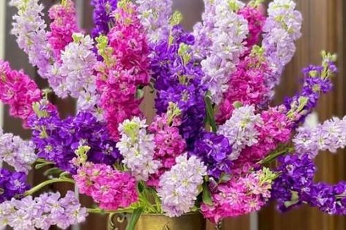 Bí quyết để cắm hoa Tết vừa đẹp vừa bền