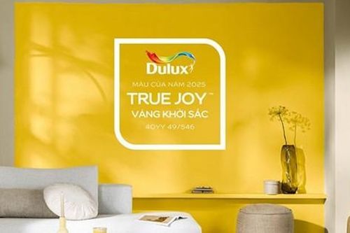 Dự án sáng tạo 'Tuyên Ngôn Của Niềm Vui': Vẽ không gian sống bằng màu hạnh phúc