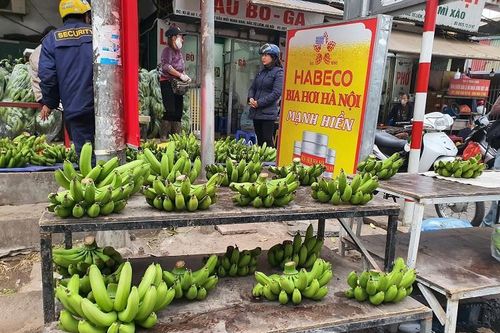 Nửa triệu đồng một nải chuối tiêu xanh, khách xuống tiền mua trong 'phút mốt' về trưng Tết