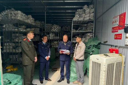 Phú Thọ: 3 tháng xử lý 141 vụ, nộp ngân sách gần 900 triệu đồng