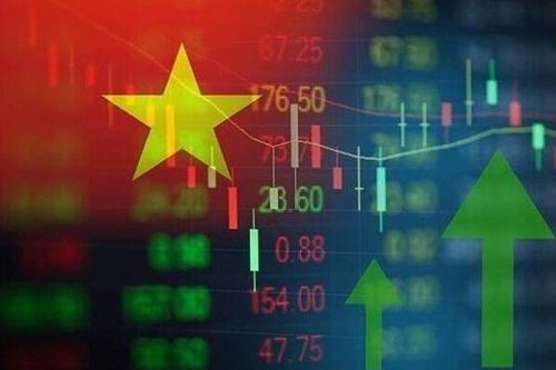 Bức tranh phân hóa về lợi nhuận ngành chứng khoán năm 2024