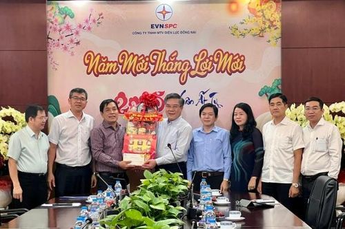 Điện lực Đồng Nai cung ứng hơn 16 tỷ kWh năm 2024