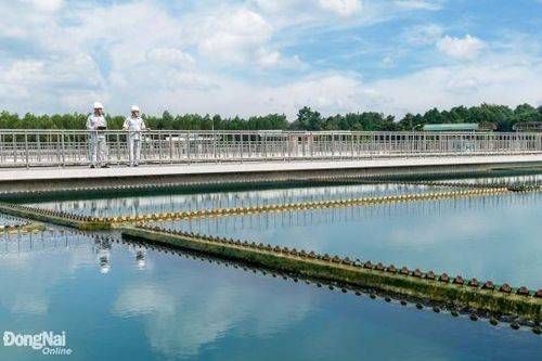 Cấp nước Đồng Nai phấn đấu 90% người dân được dùng nước máy