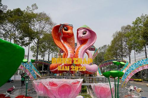 Đồng Tháp: Đường hoa xuân Ất Tỵ hoàn thành gần 90%