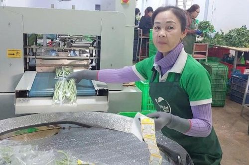 Đẩy mạnh ứng dụng khoa học công nghệ trong nông nghiệp