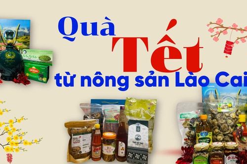 Quà Tết từ nông sản Lào Cai
