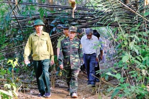 Đạ Huoai: Tăng cường bảo vệ rừng dịp Tết Nguyên đán