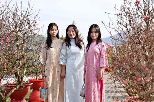 Rộn ràng những cung đường hoa Xuân