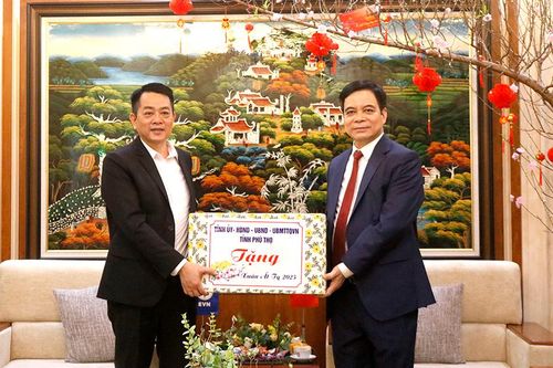 Phó Chủ tịch UBND tỉnh Nguyễn Thanh Hải thăm, chúc Tết Công ty Điện lực Phú Thọ