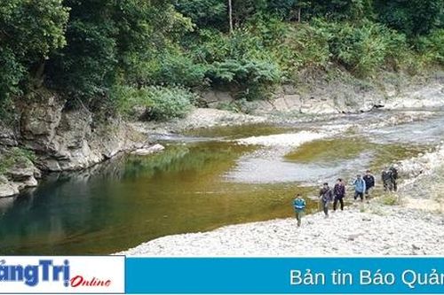 Thầm lặng giữ rừng ngày xuân
