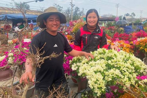 Tăng thu nhập từ vụ hoa Tết