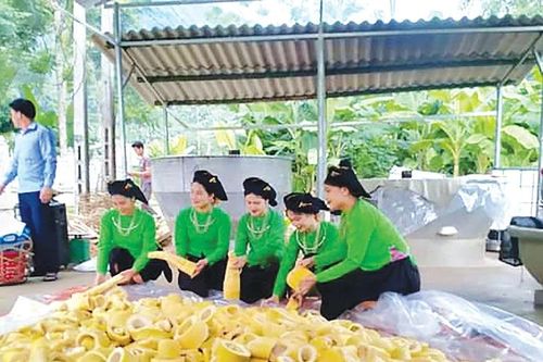 Đưa tri thức địa phương, cố kết cộng đồng vào phát triển chuỗi giá trị