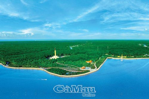 Nơi rừng xanh, biển bạc