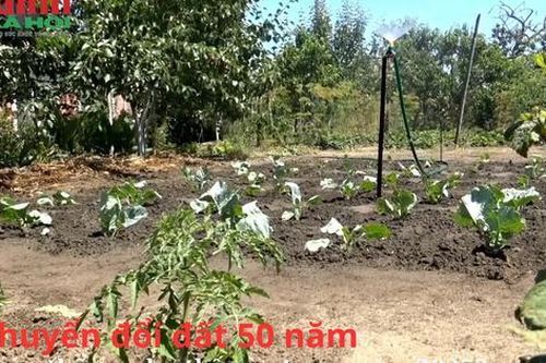 Chuyển đổi đất 50 năm sang đất thổ cư như thế nào trong năm 2025?